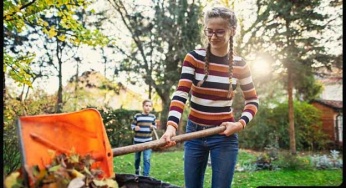 Handy Tips for Spring Cleaning Your Yard