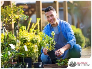 Landscaping Design Tips For Beginners