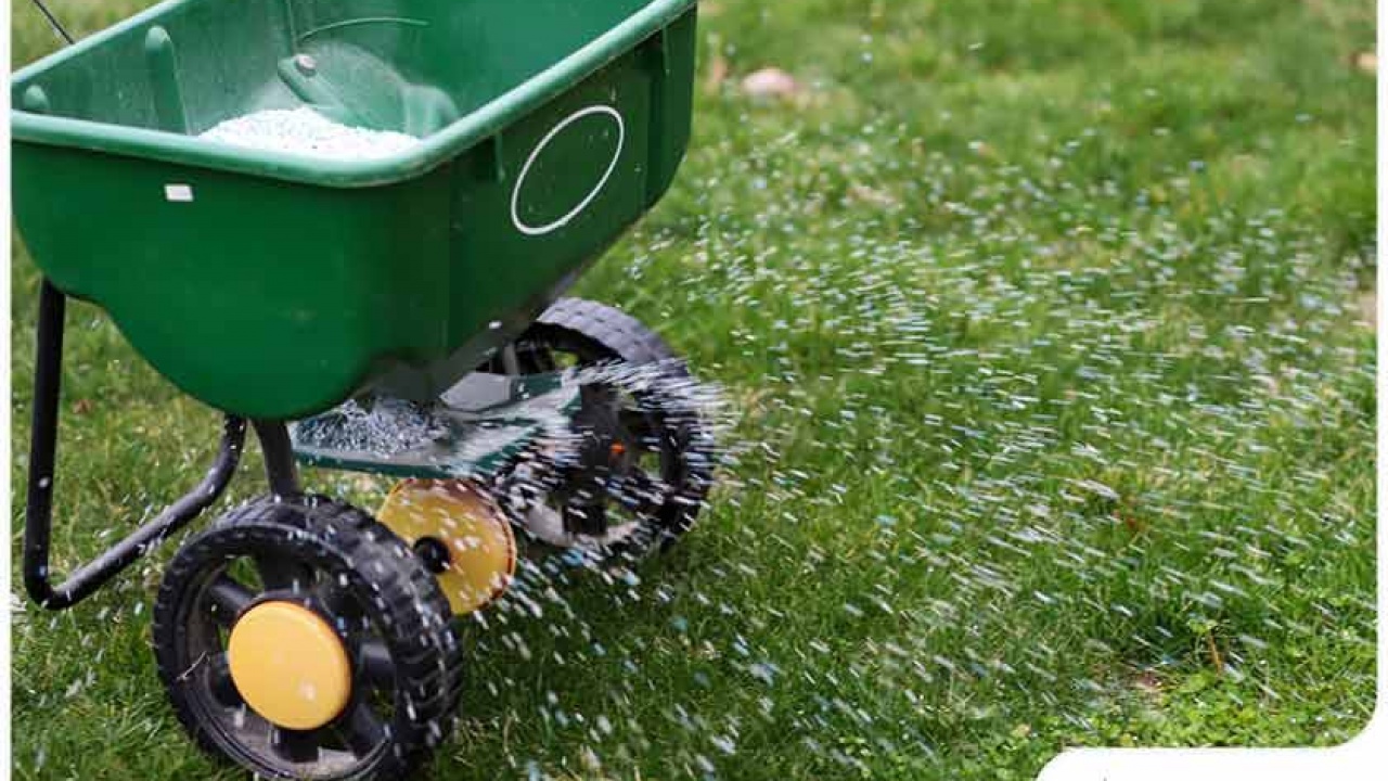 Beneficial Animals You Can Attract to Your Garden or Lawn Beneficial Animals You Can Attract to Your Garden or Lawn