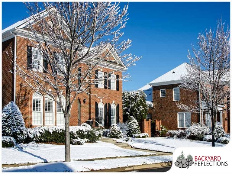 Help Your Plants Survive Harsh Minnesota Winters