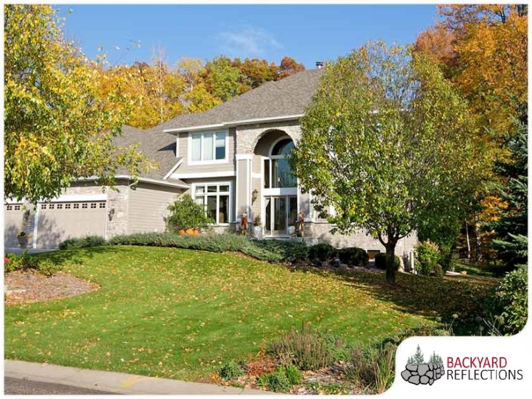 Minnesota Landscaping The Best Trees to Consider