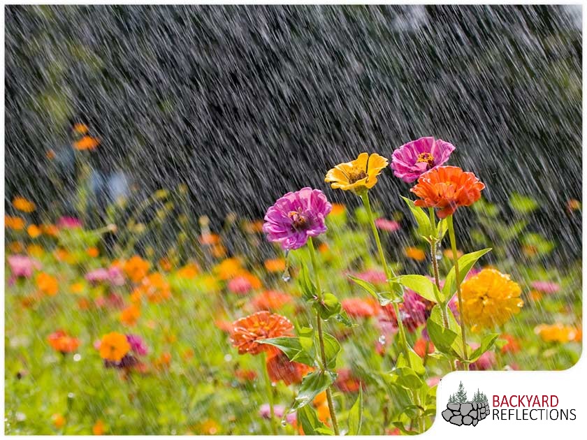 Rain Gardens What Are They And What Are Their Benefits Rain Gardens What Are They And What Are Their Benefits