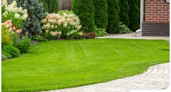 Summer Lawn and Landscaping Dos and Don’ts