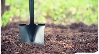 Mulching 101: Essential Facts