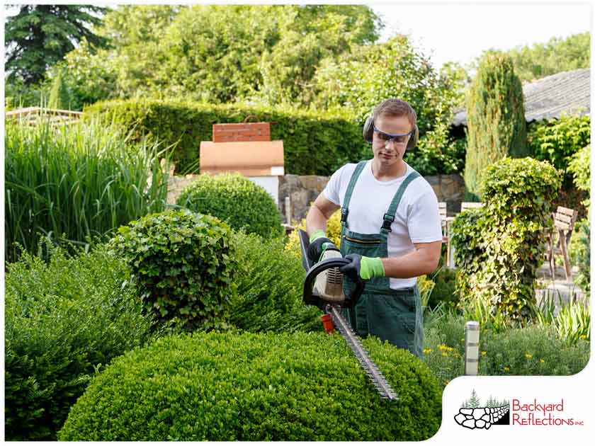 5163 1620205524 Pruning Jpg