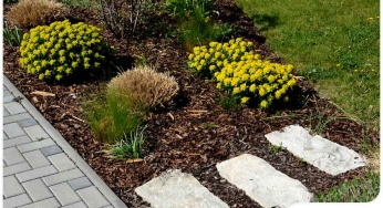 Mulch: Organic vs Inorganic