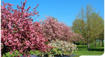An Essential Lawn Maintenance Schedule Guide