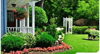 Things to Keep In Mind for February Landscaping