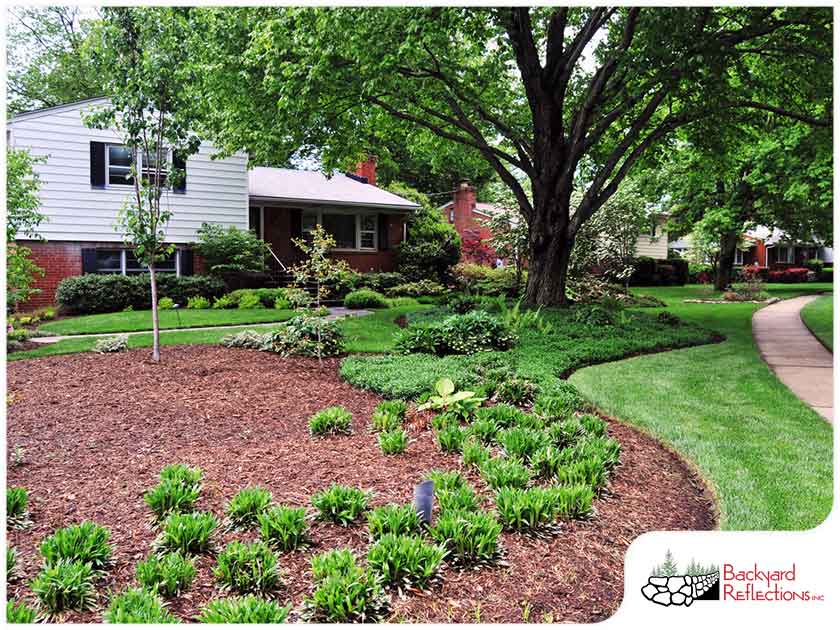 Gallery 915 Backyardmn2 1663664736 Jpg