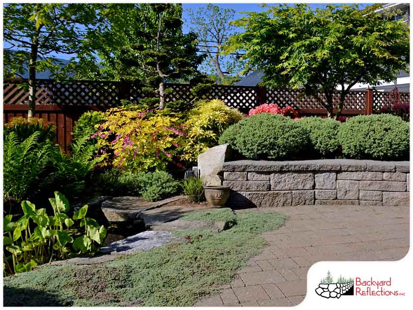 Gallery 1015 Backyardmn2 2 1666779635 Jpg