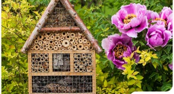 Beneficial Animals You Can Attract to Your Garden or Lawn Beneficial Animals You Can Attract to Your Garden or Lawn