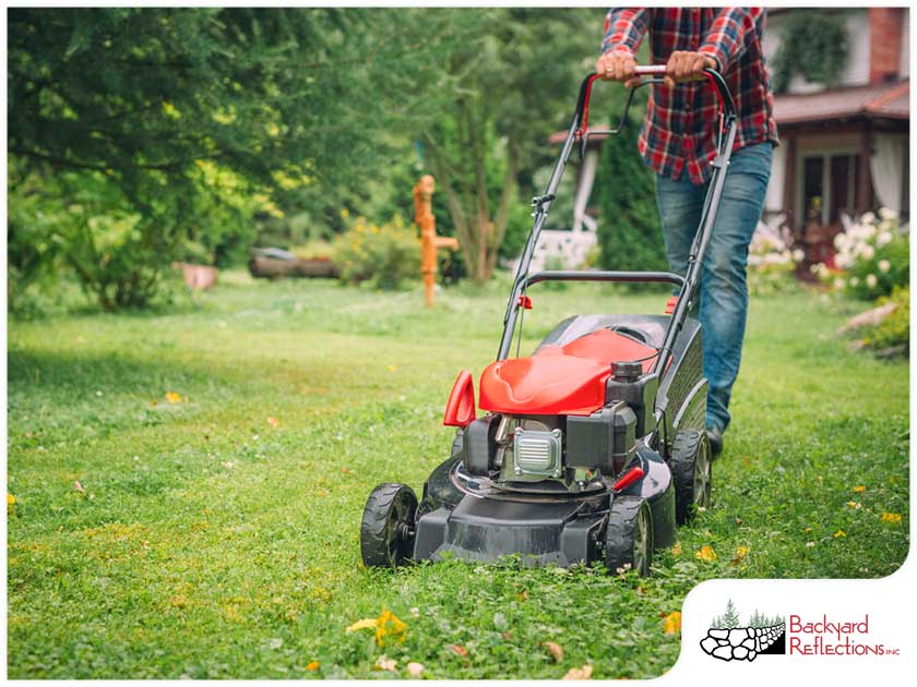 Gallery 10 Professional Summer Mowing Tips 1765284457 Jpg