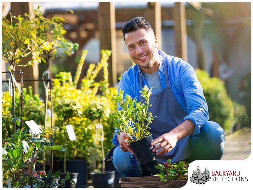 Gallery 4 Landscaping Design Tips For Beginners 1765281339 Jpg