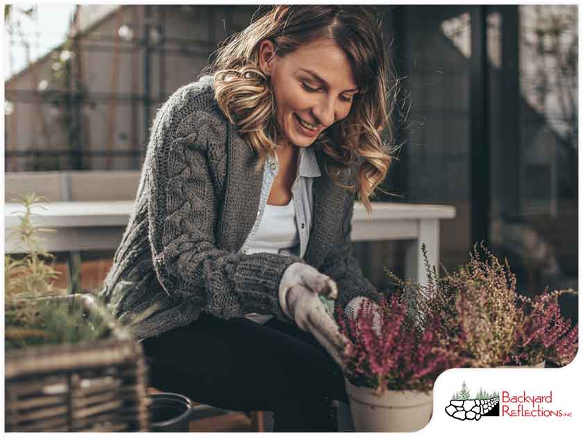 Gallery 5 4 Common Threats To Landscape Plants During Winter 1765281443 Jpg