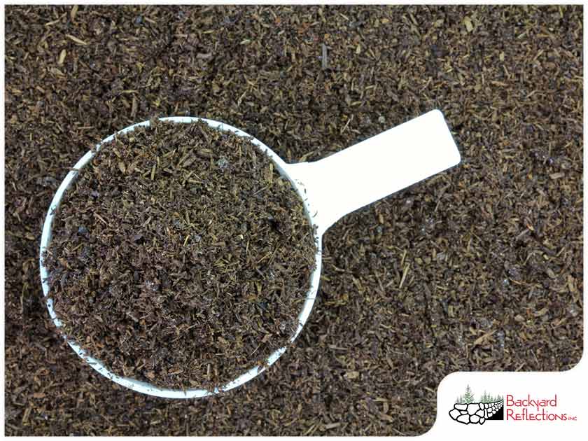 Gallery 8 How Worm Castings Improve Your Landscape 1765284330 Jpg